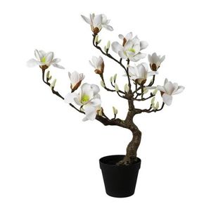 Umelá Rastlina Magnolia Strom I